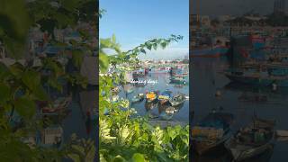 Da Nang days【ダナンの日常】ダナンの日々