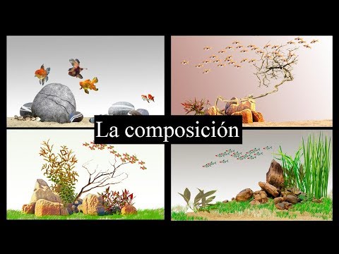 Aquascaping para novatos 5. La composición