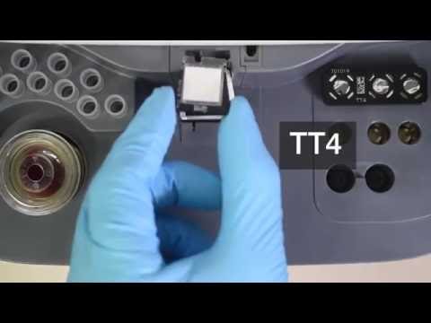 Top Off Your Patient Profiles With the Catalyst Total T4 Test