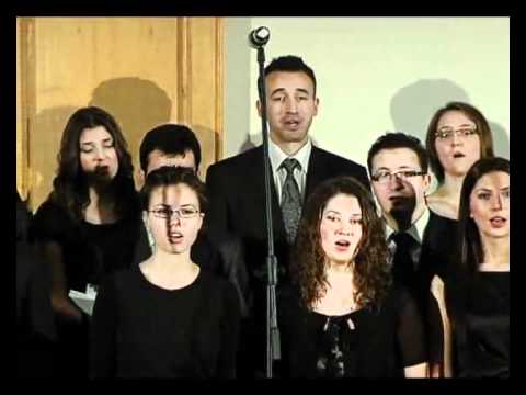 Andante - Un cant frumos