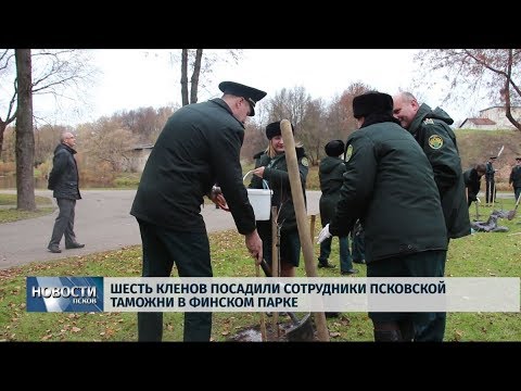 23.10.2019 / Шесть кленов посадили сотрудники псковской таможни в Финском парке
