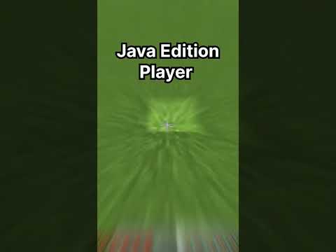 Java Edition Player vs Pocket Edition Player