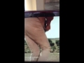 A Burr Under Your Saddle Made Simple