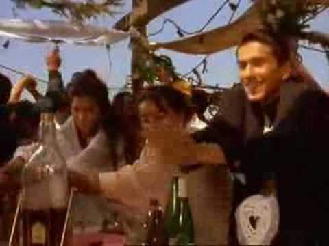 black cat, white cat