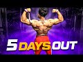 5 DAYS OUT * ROAD TO AMIX CUP * Entrenando con un CLASSIC PHYSIQUE PRO