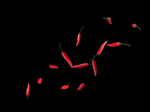 Free Stock Footage: Red chili falling with alpha channel