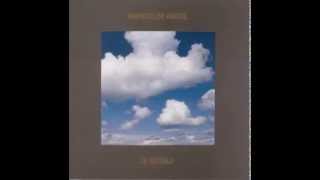 Fabrizio De André - Ottocento