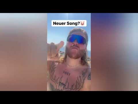 Sauschweine Finch Asozial - Memesmix