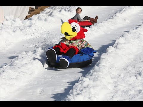 download lagu mp3 mp4 Margaritaville Atlanta, download lagu Margaritaville Atlanta gratis, unduh video klip Margaritaville Atlanta