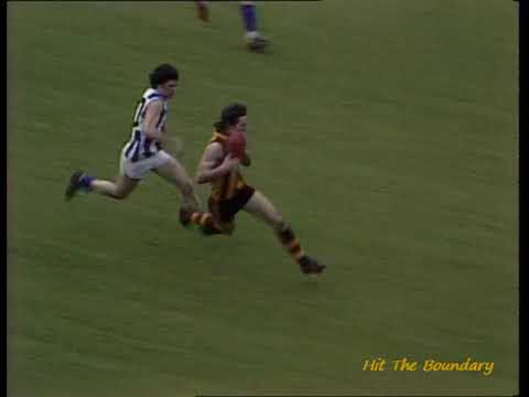 1975 VFL Grand Final: Hawthorn v Nth. Melbourne (5 minutes to go)