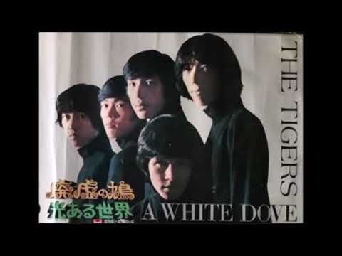 ザ・タイガース 廃墟の鳩 (live)