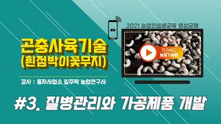 [곤충사육기술] part 3. 꽃벵이 질병관리와 가공제품 개발