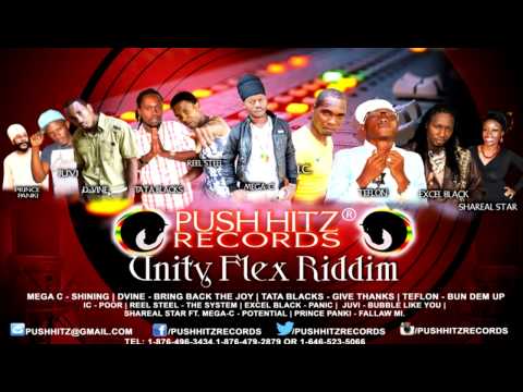 Unity Flex Riddim (Push Hitz Records) Ft. Teflon, Tata Blacks, Mega C & More - June 2014