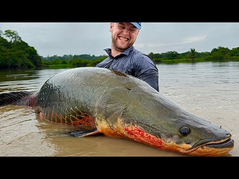 ARAPAIMA aux LEURRES : Pêche FOLLE en AMAZONIE ft Sylvain Legendre