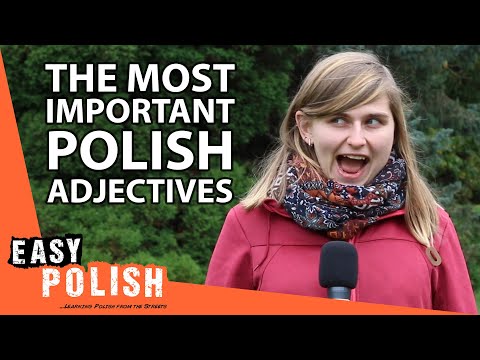 Top 50 Polish Adjectives Every Beginner Must Know | Super Easy Polish 20