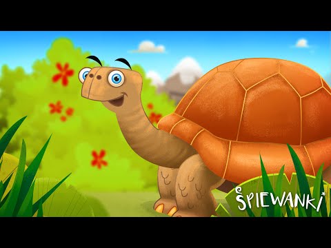 ŻÓŁW z GALAPAGOS – Śpiewanki.tv - piosenki dla dzieci