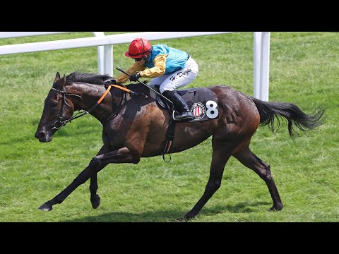 Hamburg-Horn: Mehl-Mülhens-Trophy 2022 Siegerin: Well Disposed