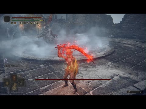 Commander Niall NG+2 with the Bloodhound Fang [No Damage]