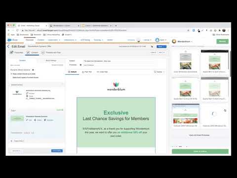 LookupAnswers   How to use Litmus in your SFMC Workflow
