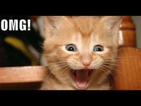 My most lucky headshot ever 18 1 2015