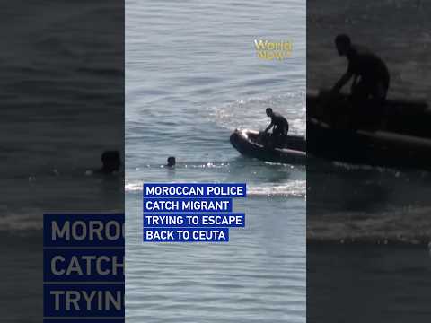 Moroccan police catch migrant trying to escape back to Ceuta #worldnow