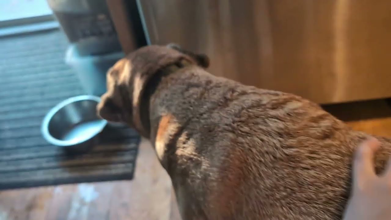 Waiting Battle - Award Winning Short Film