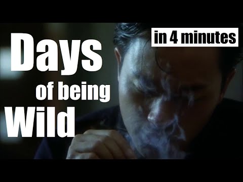 Days of Being Wild (1990) EXPLAINED
