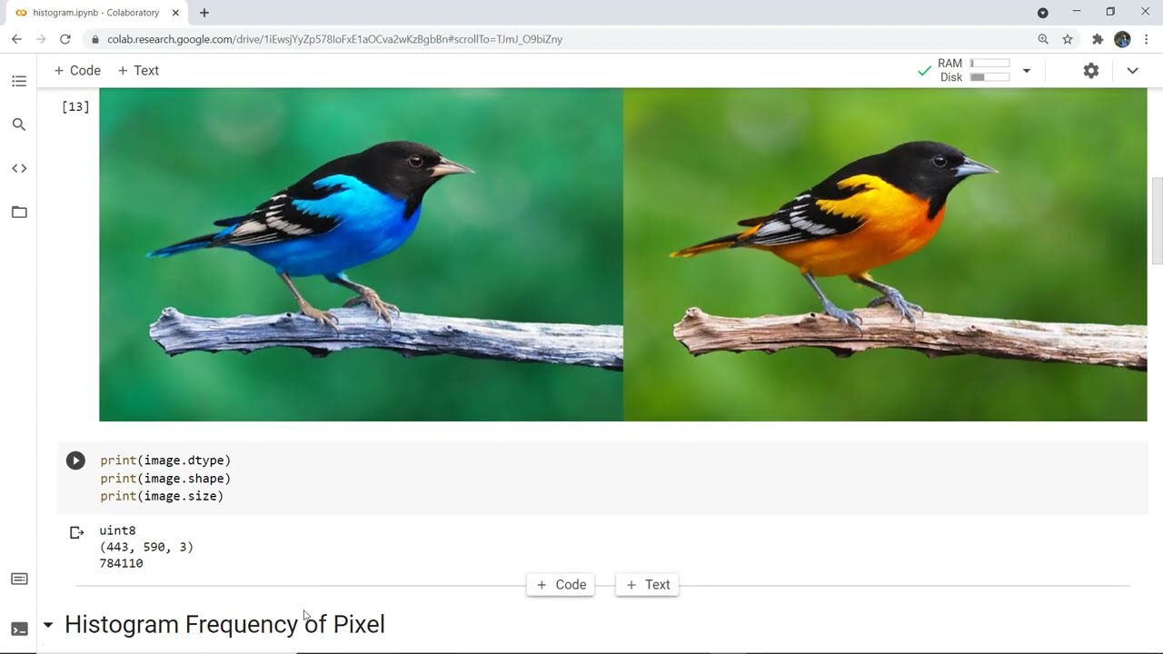 Open CV, Google Colab, and Histogram of image in Python | Image Processing Python | Texas | Dallas