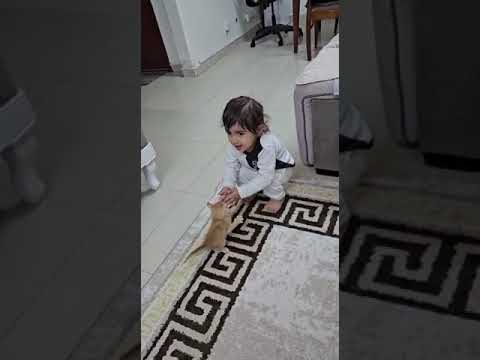 Mohid Playing with Cat                   #cute#cat#catsoftiktok #littlecat #cutebabystatus#cutebaby