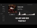 Sarkodie Rollies And Cigars Lyrics Video