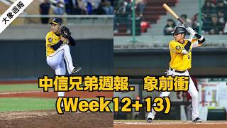 中信兄弟週報．象前衝Week12+13：單週三勝勝率過半 牛棚回穩鞏固勝機
