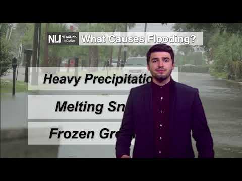 NewsLink Indiana Weather February 16, 2022 - Dimitri Gegas