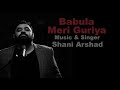 Shani Arshad | Babula | Meri Guriya OST (Without Dialogues)