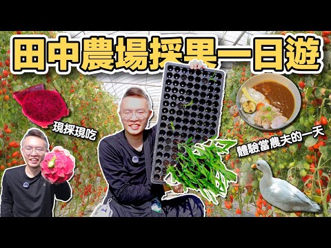 【ManLife】Changhua Tianzhong Farm Fruit Picking Day Trip | A Simple Yet Satisfying Day in the Orch...