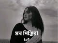 Mon Pinjira (মন পিঞ্জিরা) ।। Bengali lofi #_lofi_music #lofi_and_reverb.।