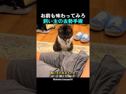 お前も味わってみろ飼い主の去勢手術