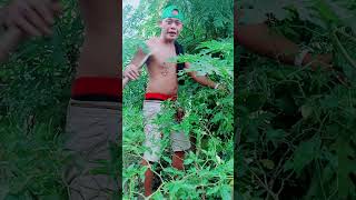 Download lagu LOS RA REWEL mp3 Download lagu LOS RA REWEL mp3