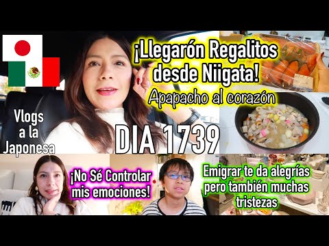 No Sé Como Sentirme ni Como Explicarlo 😢 + Detalles desde Niigata JAPÓN - Ruthi San ♡ 01-12-25