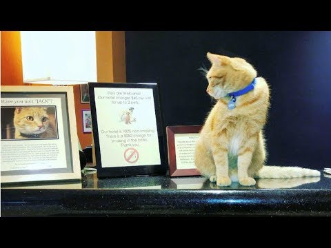 The best hotel I've stayed in!. | Road Trip Day 7 Redding, CA.