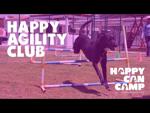 Happy Agility Club