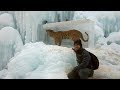 Animals Found FROZEN In Ice! (part 2) Animals Found FROZEN In Ice! (part 2)