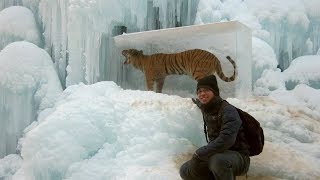 Animals Found FROZEN In Ice! (part 2)