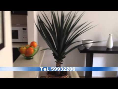 Casas ARA - Modelo Tabachines - Toluca