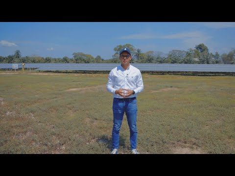 El agro piensa en grande