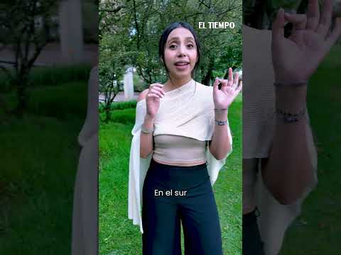 Los planes de Navidad imperdibles en Bogotá y Cundinamarca | EL TIEMPO