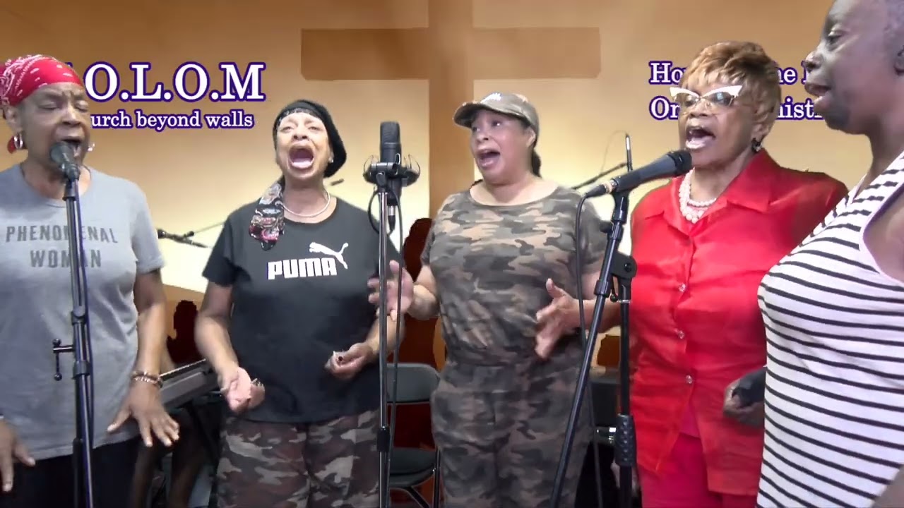 Promotional video thumbnail 5 for The Wiggitone Band