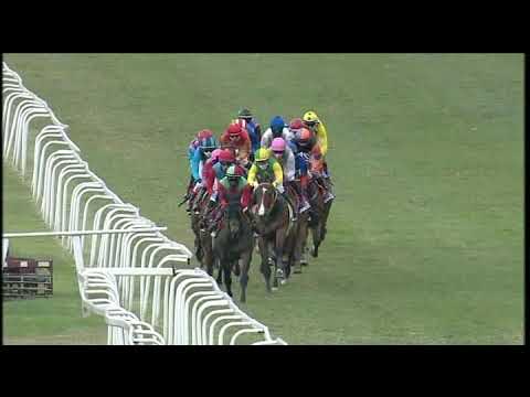 20200829 Hollywoodbets Greyville express clip Race 7 won by PATHS OF VICTORY