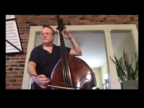 Interview with Michel Taddei, double bass - YouTube