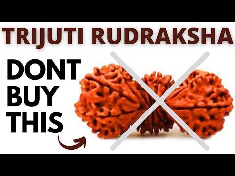 What is trijuti rudraksha! - is it worth buying?