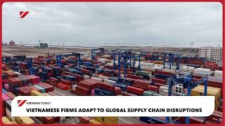 Vietnamese firms adapt to global supply chain disruptions | Vietnam Today